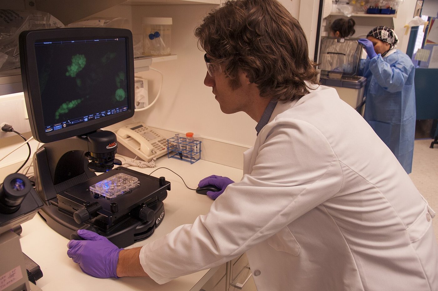 Seorang peneliti pascadoktoral memeriksa gambar sel punca di laboratorium di kampus National Institutes of Health, Bethesda, Maryland.