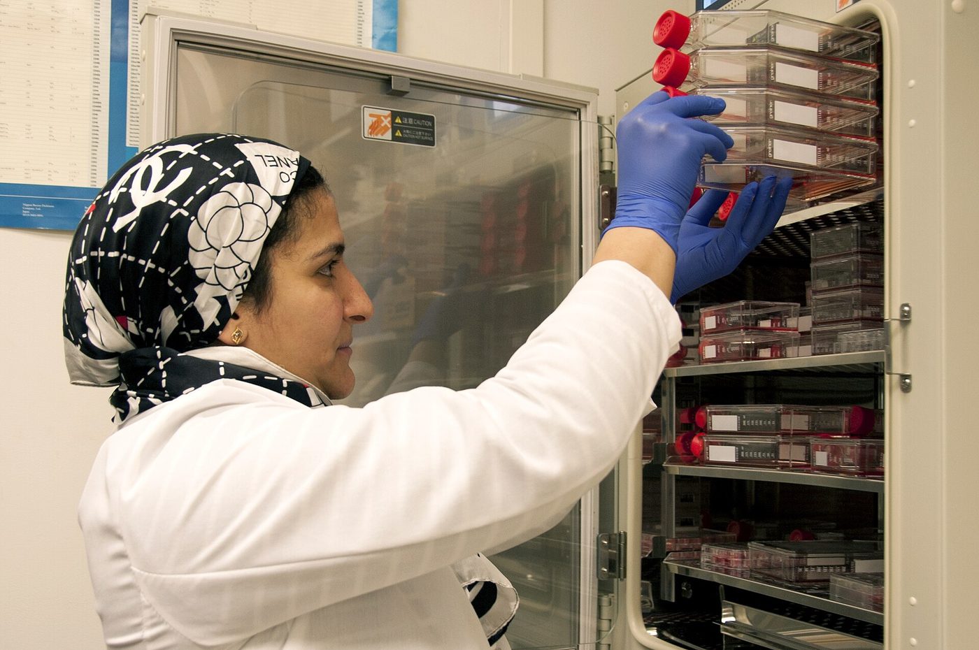Seorang peneliti tamu menyimpan sampel sel punca untuk dianalisis di laboratorium di kampus National Institutes of Health, Bethesda, Maryland.