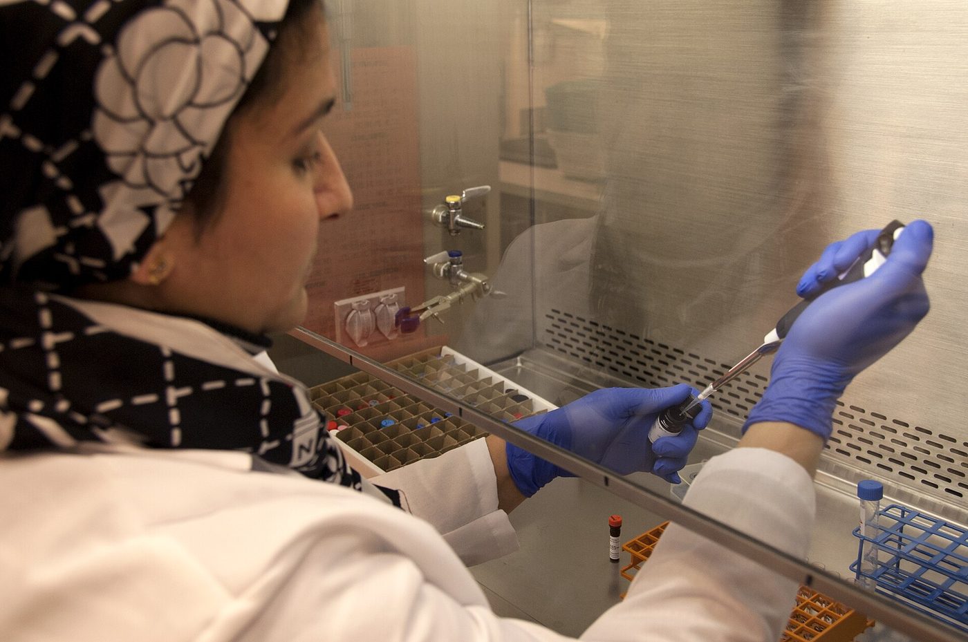 Seorang peneliti bekerja dengan sampel sel punca di laboratorium FDA di kampus National Institutes of Health, Bethesda, Maryland.