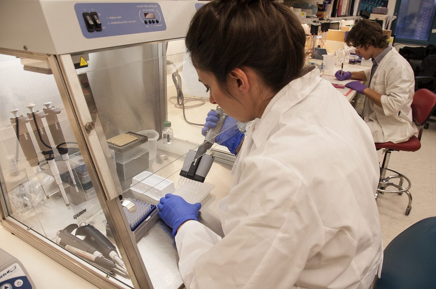 Seorang staf ilmuwan wanita meneliti sel punca di laboratorium FDA di kampus National Institutes of Health, Bethesda, Maryland.