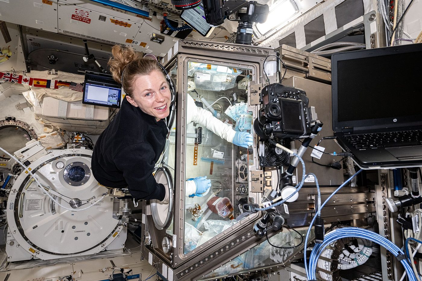Astronaut NASA Zena Cardman memproses sampel sel punca tulang di dalam modul laboratorium Kibo.